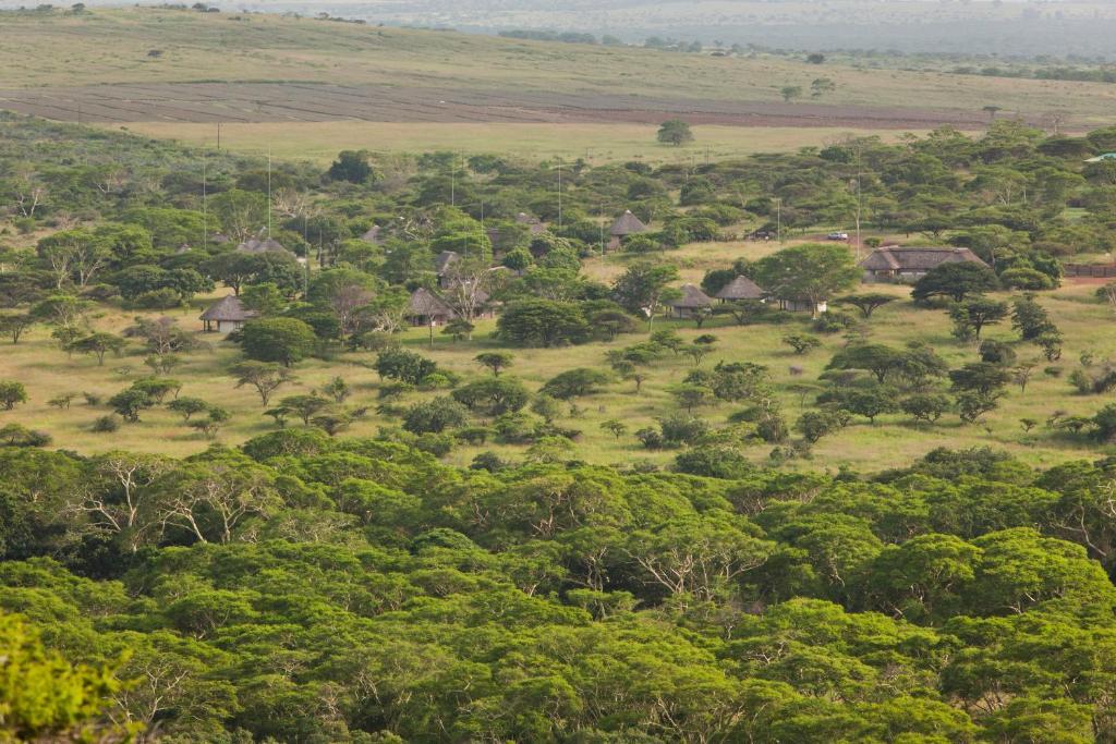 Zululand Safari Lodge Hluhluwe Dış mekan fotoğraf